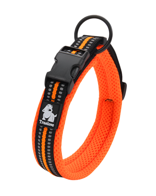 Promenadset Hund – Justerbart Halsband & Slitstarkt Koppel med Reflex - Orange