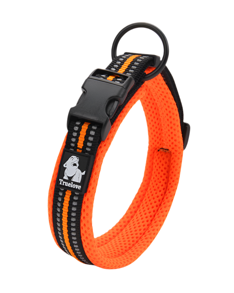 Ergonomiskt Promenadset för Hund – Sele, Halsband & Koppel med Reflex och Antidrag