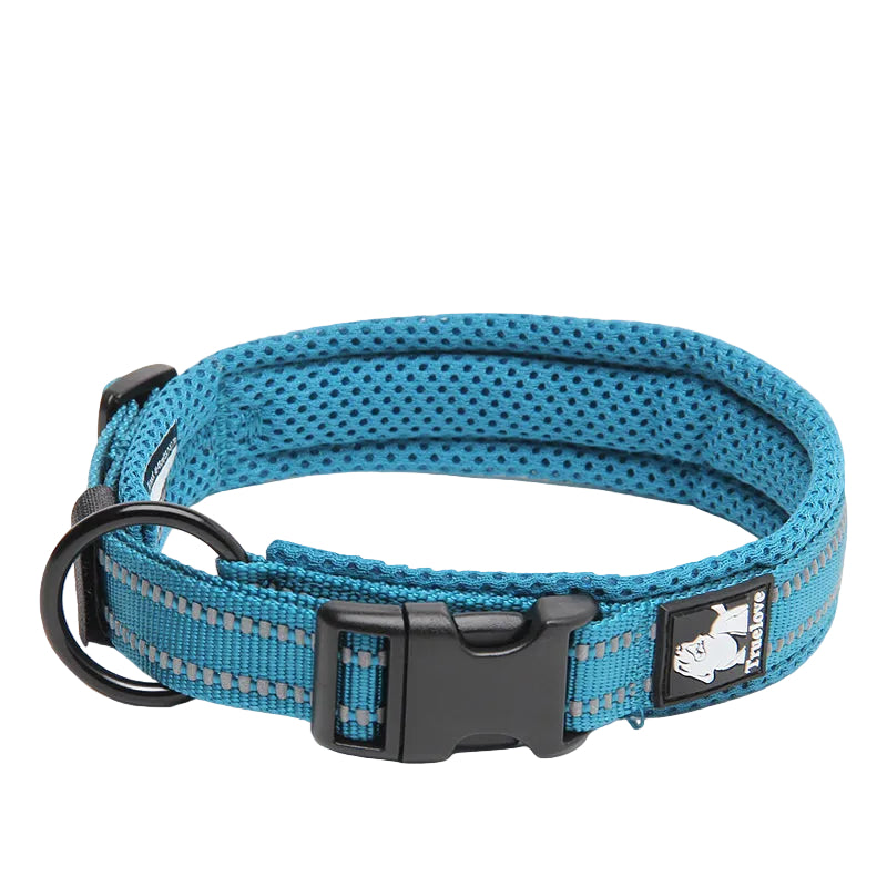 Reflekterande blått halsband för hundar med säkerhetsdetaljer