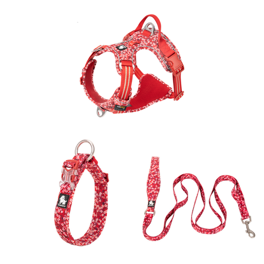 Ergonomiskt Hundset – Antidragsele, Justerbart Halsband & Koppel med Flera Handtag