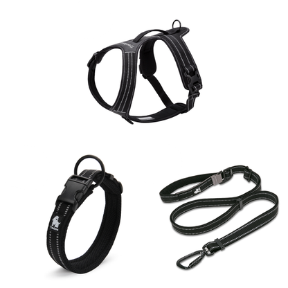 Ergonomisk Y-sele med justerbart koppel och halsband