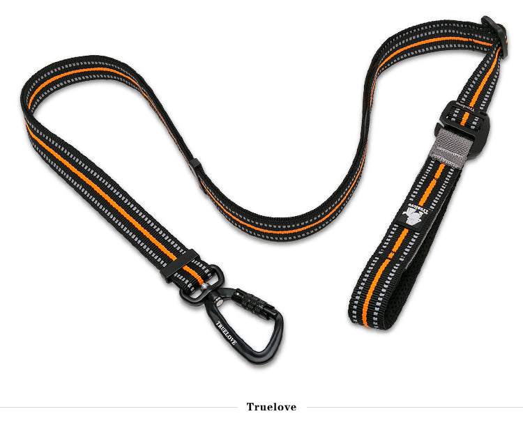 Robust orange hundkoppel med reflexdetaljer för säkra promenader