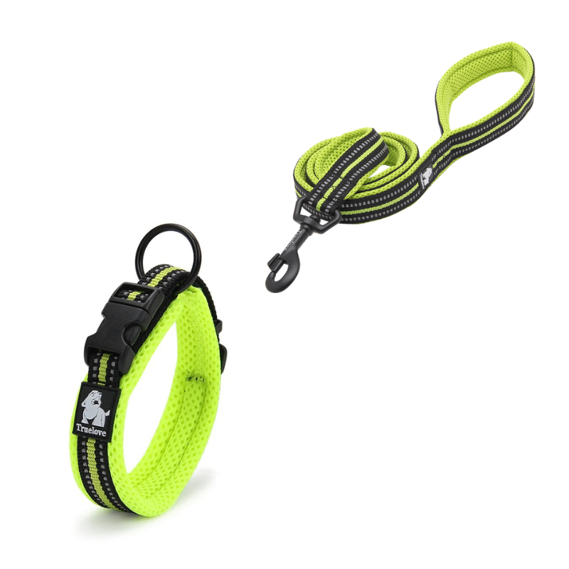 Promenadset Hund – Justerbart Halsband & Slitstarkt Koppel med Reflex - Gul