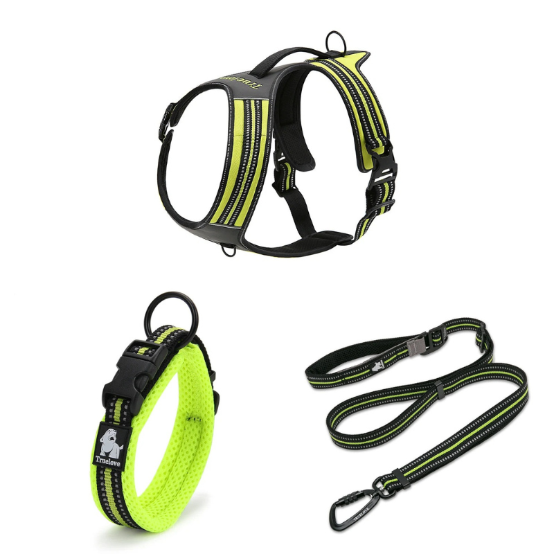 Ergonomisk y-sele med justerbart koppel och halsband