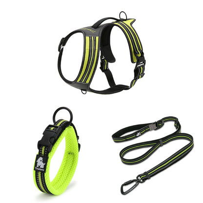 Ergonomisk y-sele med justerbart koppel och halsband