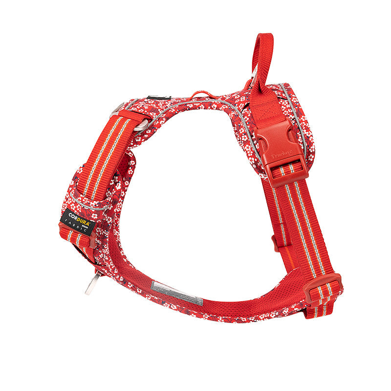 Blommig röd hundsele i slitstarkt material med reflexer och snabbkoppling