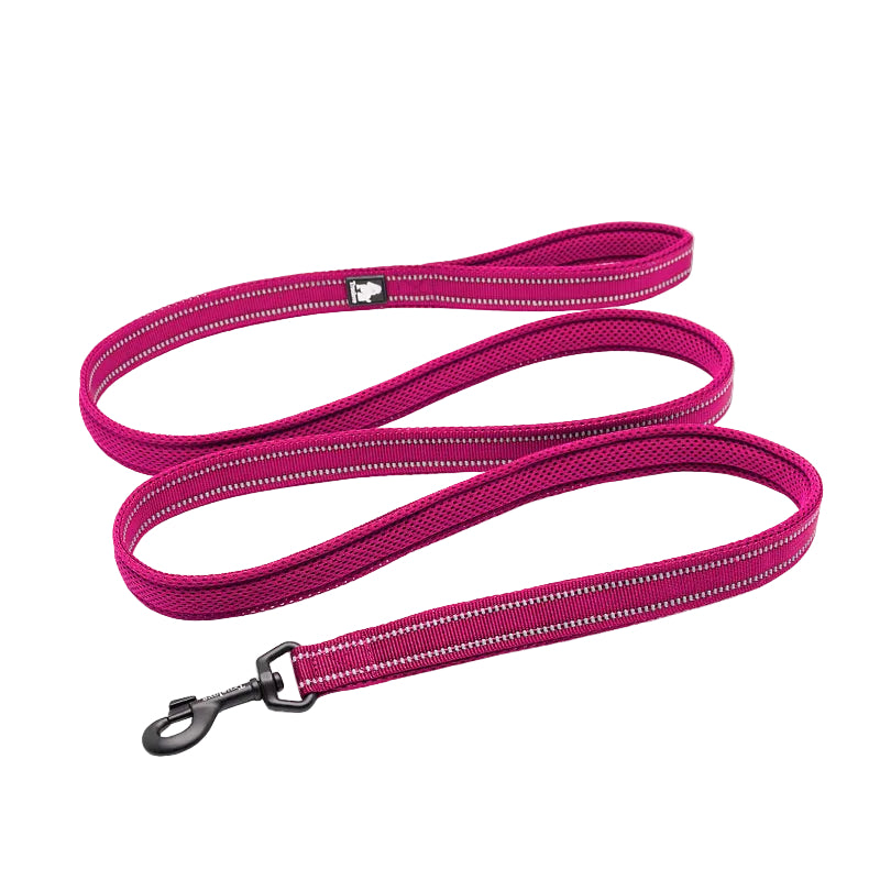 Reflekterande rosa hundkoppel med vaddering för komfort och kontroll