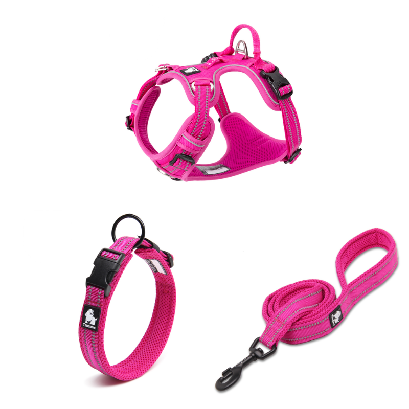 Ergonomiskt Promenadset för Hund – Sele, Halsband & Koppel med Reflex och Antidrag