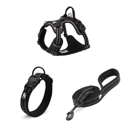 Komplett hundset i svart med sele, koppel och halsband