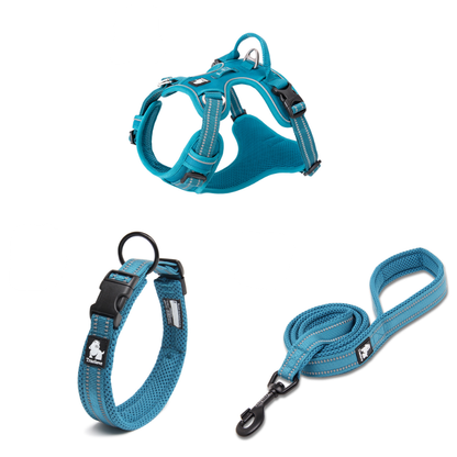 Blå hundsele med matchande koppel och halsband på vit bakgrund