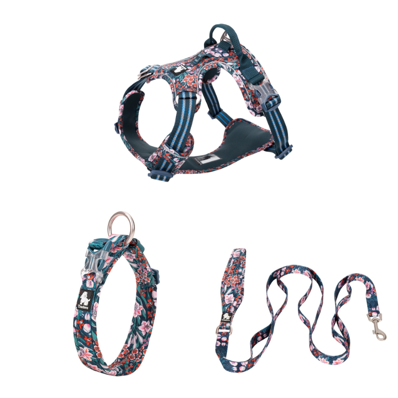 Ergonomisk hundsele med koppel och halsband i svart färg