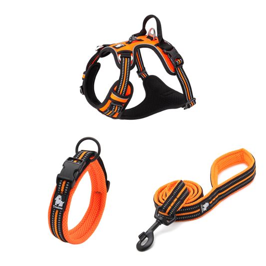 Premium hundset i svart – sele, koppel och halsband