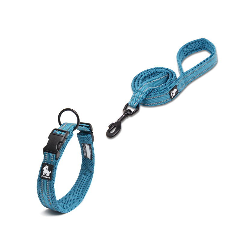 Elegant blått hundhalsband med tillhörande koppel.