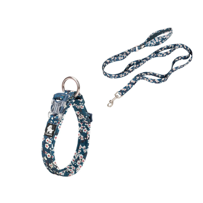 Klassiskt blått hundset med koppel och halsband.