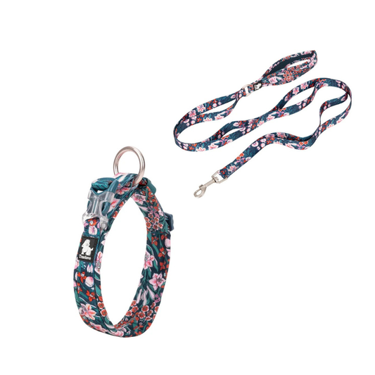 Slitstarkt blommigt blå koppel och halsband för dagliga promenader