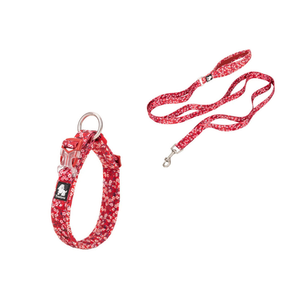 Hundkoppel och halsband i blommigt röd för trygg kontroll.