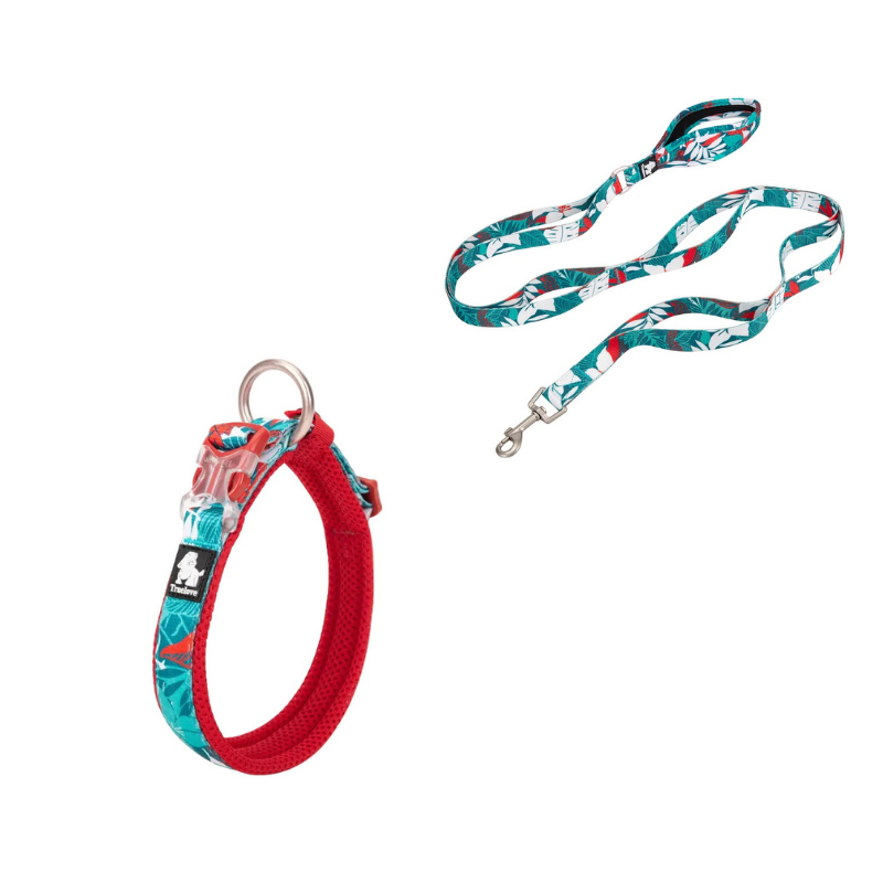 Premium kamoflage koppel och halsband för hundar.