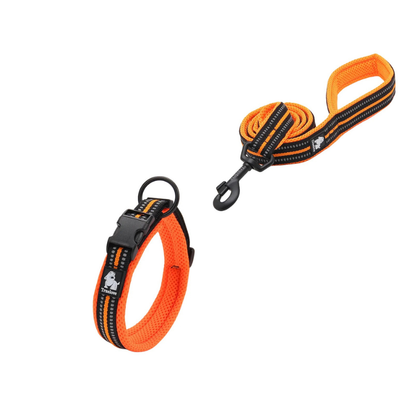 Komplett orange hundset med koppel och halsband.