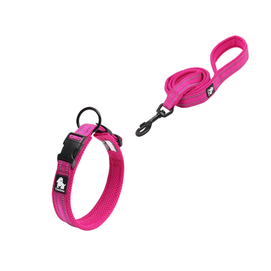 Justerbart rosa hundhalsband med robust koppel.