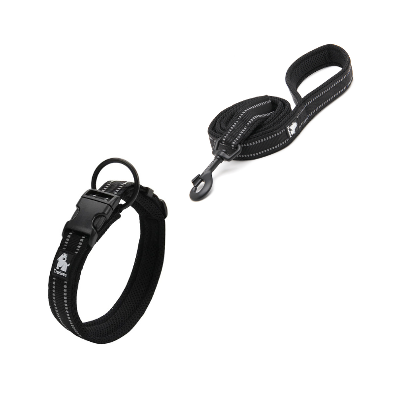 Stilrent svart halsband och matchande koppel för hund
