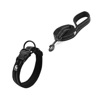 Stilrent svart halsband och matchande koppel för hund