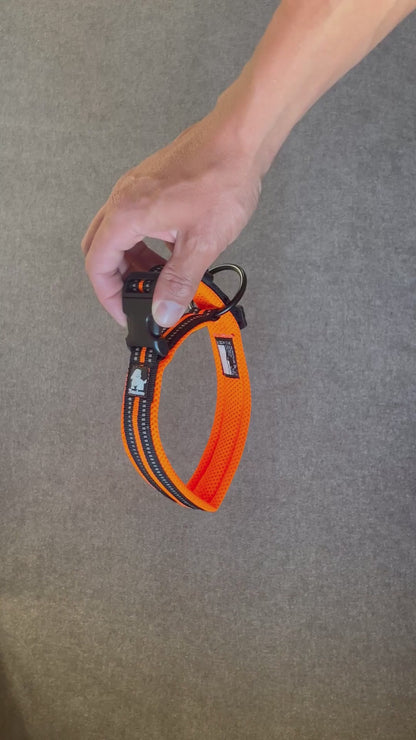 Hundhalsband Orange