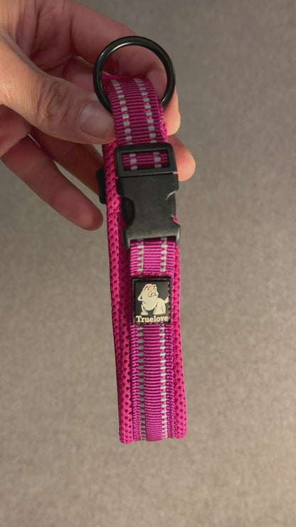 Hundhalsband Rosa