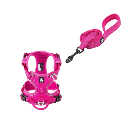 Komplett rosa hundsele och koppel för promenader.