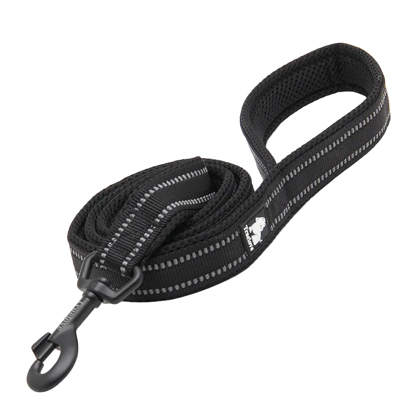 Svart vadderat hundkoppel i slitstark nylon med mjukt handtag för stabil kontroll